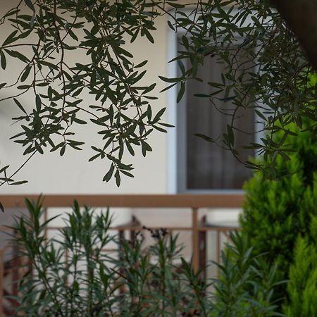 Guesthouse Adonis Loutraki  Exterior photo